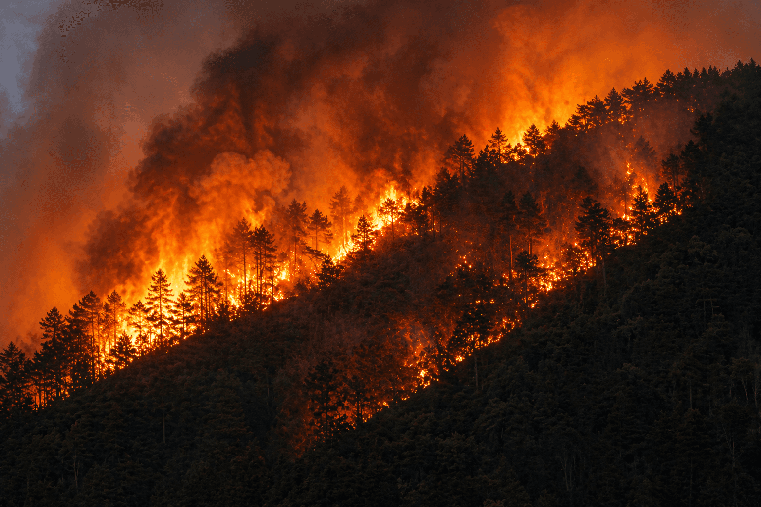 Incêndio florestal avançando por encosta montanhosa, com chamas intensas consumindo árvores e grande volume de fumaça no céuP
